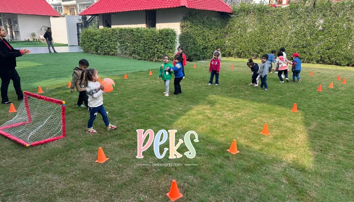 Play Schools in Ludhiana